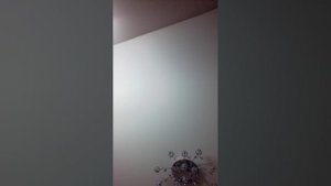 игры на выживание в школе 6 серия лабиринт смерти мистер пончик 2025