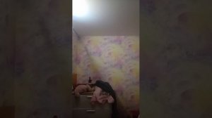 разговоры