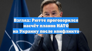 Взгляд: Рютте проговорился насчёт планов НАТО на Украину после конфликта