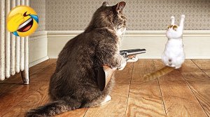 Смешные видео с кошками и собаками (Подборка №27)