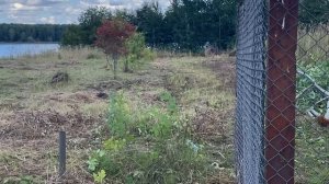 Деревня Борисово