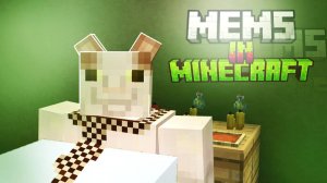 😱Я сделал ресурспак на мемы в майнкрафт!