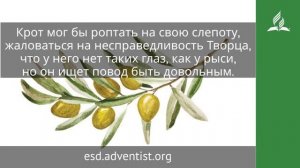 7 сентября 2025. Свет, который в тебе. Под сенью благодати | Адвентисты