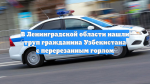 В Ленинградской области нашли труп гражданина Узбекистана с перерезанным горлом