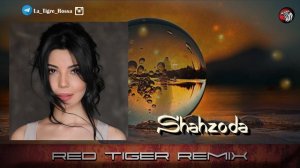 Shahzoda - To'rt qadam  ( Red Tiger remix ) 2025