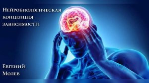 Нейробиологическая концепция зависимости | Евгений Молев