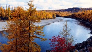 Якутская осень