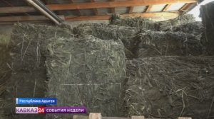 В Адыгее восстанавливают производство лекарственных трав