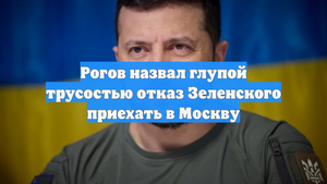 Рогов назвал глупой трусостью отказ Зеленского приехать в Москву