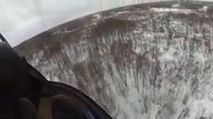 Лоси весной