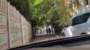 Сота. Парковка 2