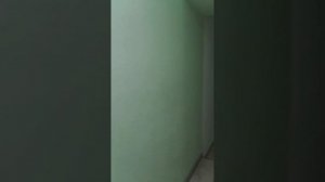 Ядринцева 27.1