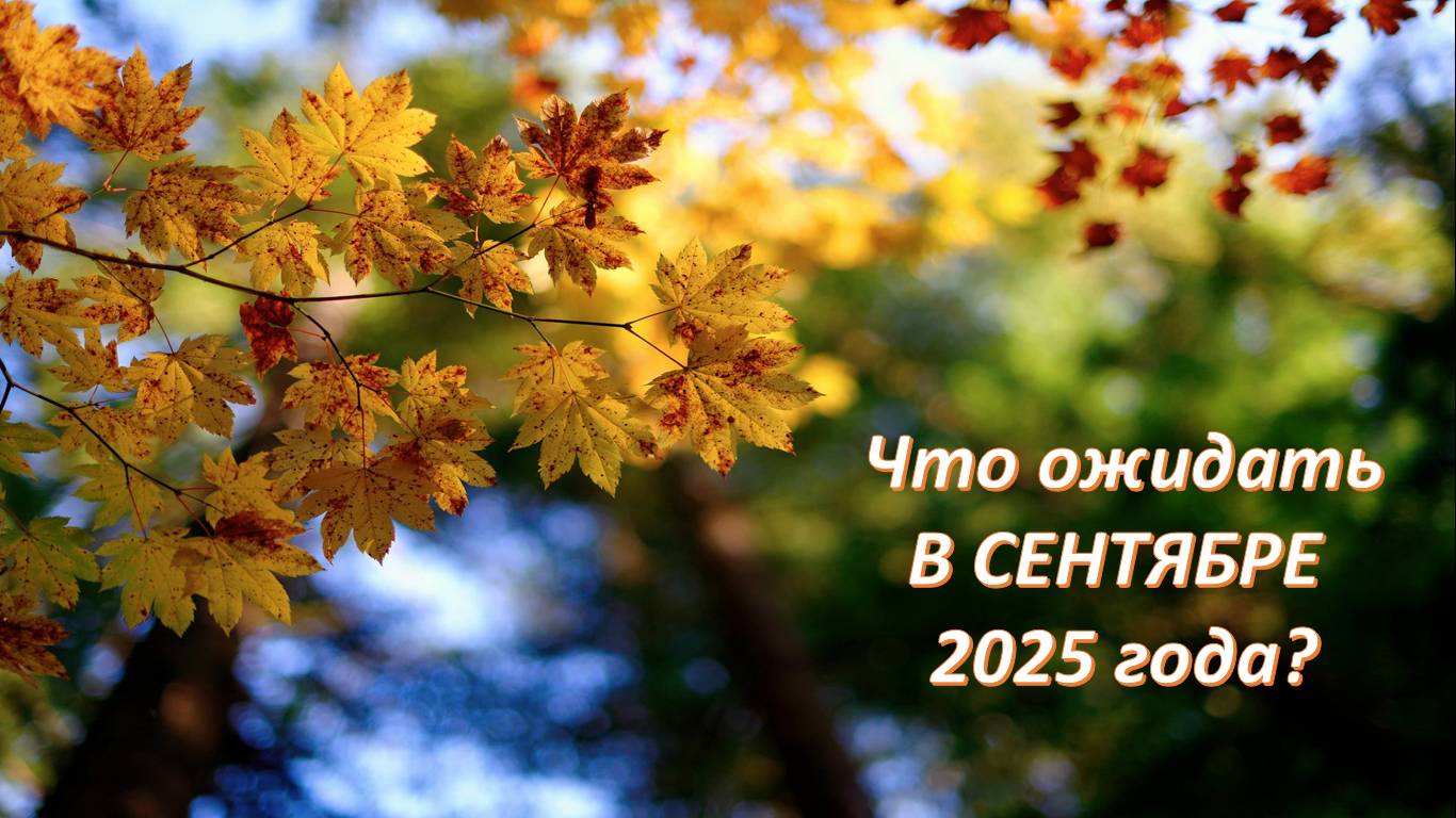 Что удивит, а что порадует рожденных в ноябре и декабре в 09.2025?