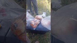 Поездка в п.Кюерелях