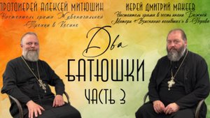 На какие деньги живут священники?Как воспитать детей в Вере/ДВА БАТЮШКИ/Иерей Дмитрий Макеев Часть 3
