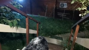 СОЧИ ГОРНОЕ ЛОО УТРО 07.09.2025