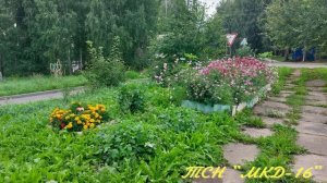 Моя цветущая усадьба  Кожаны