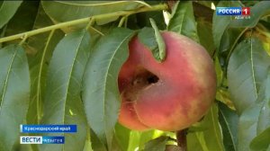 8.00 - «Местное время. Вести». от 07.09.2025г.