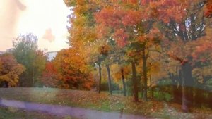 433.=ОСЕННИЙ ВАЛЬС=. Сл. А. Зенцов, муз. Н. Жуков, исп. и видио Надежда Попова.