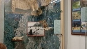 Уникальная природа Саратова