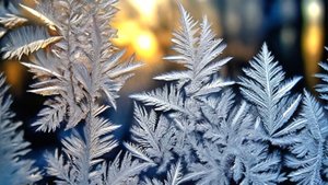 Артём Гельман - Картина Жизни