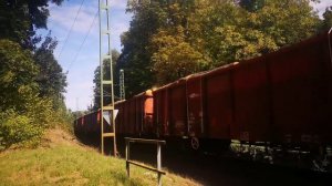 Тепловоз М62 628 332 с полувагонами груженными лесом