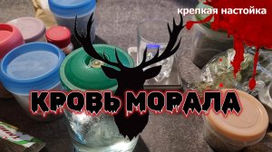 Кровь мОрала - ягодная настойка с травами