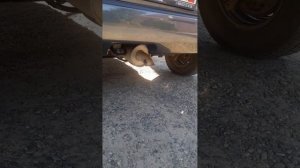 Водородные генераторы #H_2_Element для любых типов двигателей и топлива ⛽