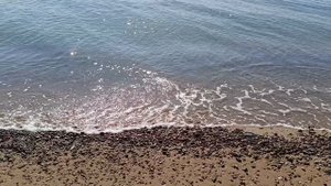 Пляж Фрунзе_Сакский 07-09-2025