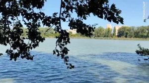 Осень на память(Дударин и Ануш)