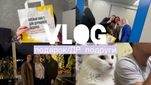 VLOG/подарок/ДР подруги