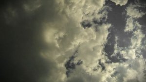 Андросфинкс