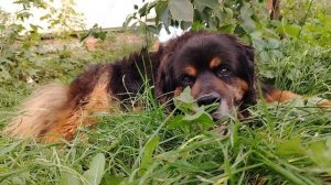 07.09.2025 Пожилой Фарт.