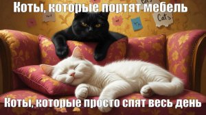 Мем - привычки