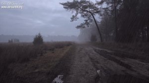 Дождик осенний - Вячеслав Абросимов_mp4