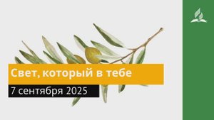 7 сентября 2025. Свет, который в тебе. Под сенью благодати