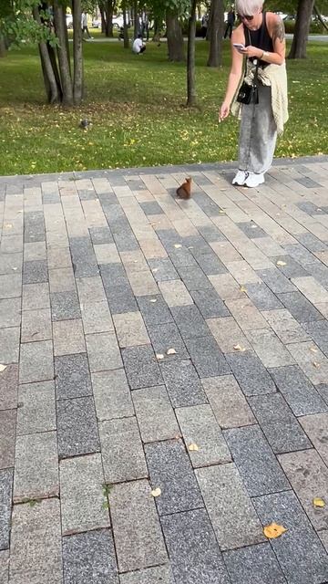 С.Р.В._Белка-1_07-09-2025 смотреть онлайн