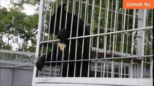 Как кого зовут в «Питоне» узнали комсомольчане на юбилее «Зооцентра»