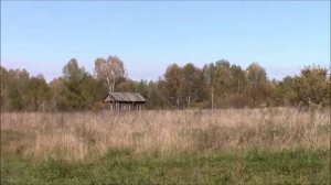 Берёзовая Роща и озеро УТКУЛЬ где-то в Сибири, осенью 2024 года