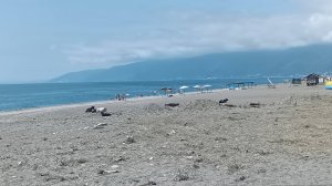 Дорога по Абхазии до Алахадзе