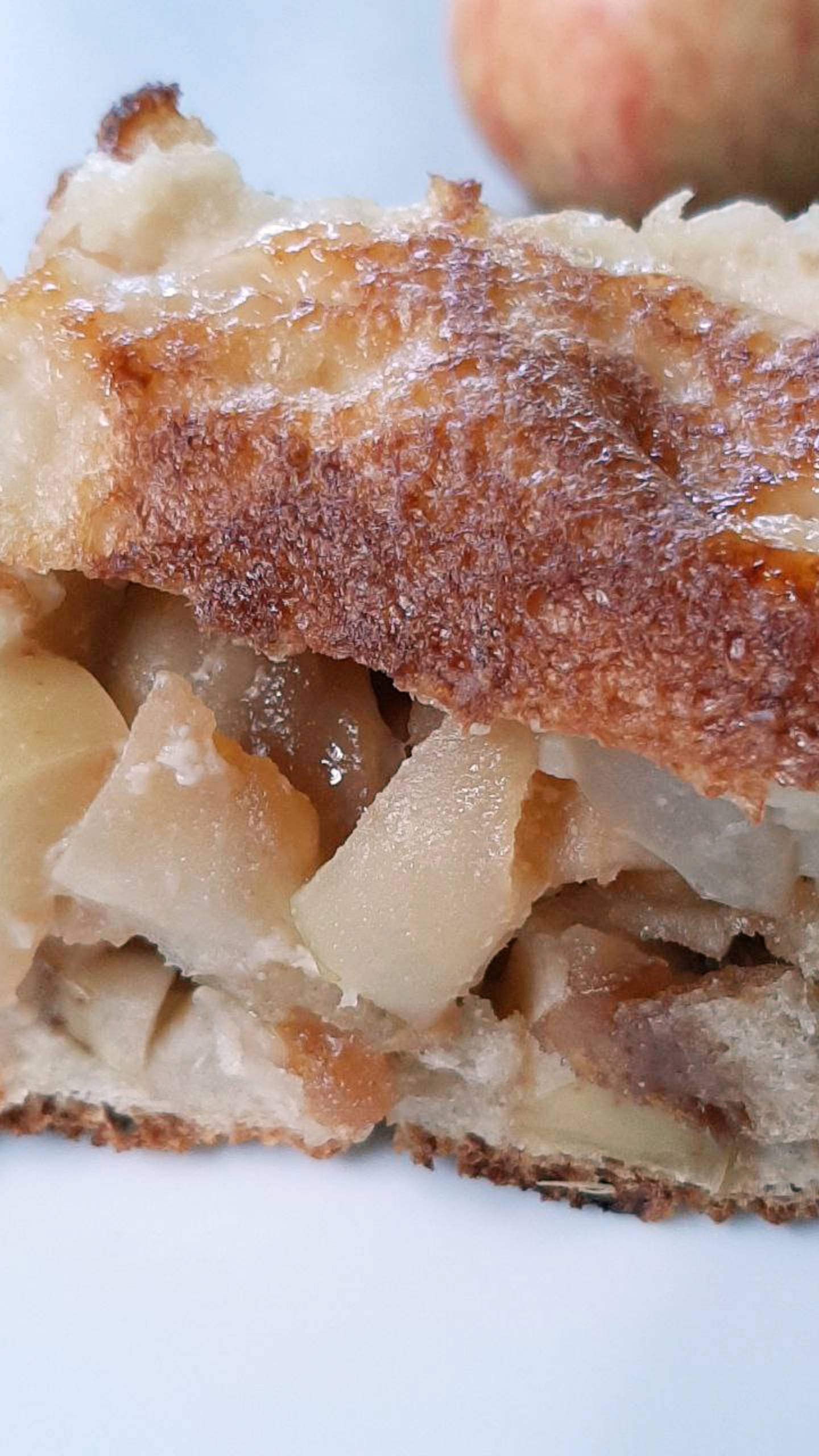 Шарлотка, которая шарлотка! Дюжина рецептов с яблоками (12).