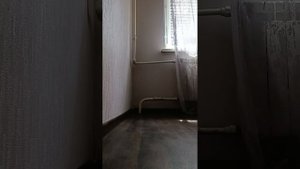 футбол дома