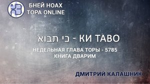 "Ки Таво" 5785/2025. Недельные главы Торы - Парашат а-шавуа | Дмитрий Калашник