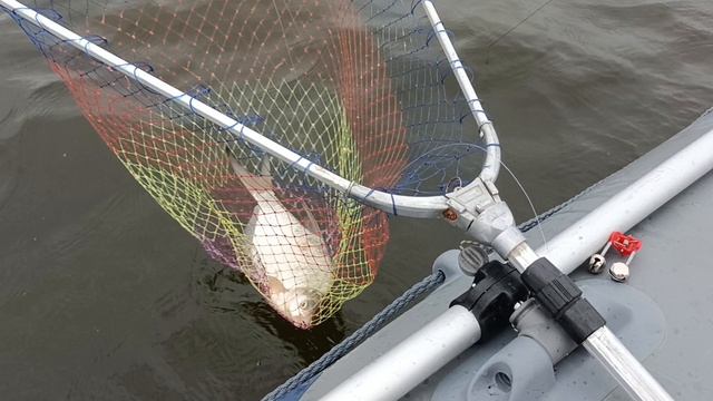 1000217446.mp4 смотреть онлайн