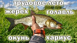 Трудовое лето на речке