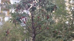 Наготовила еды, давно хотела это купить.