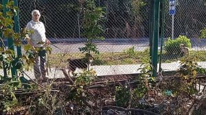 Кисловодский бардак! 50 лет, как спортивная площадка превращена в мусорную свалку! Ужас!