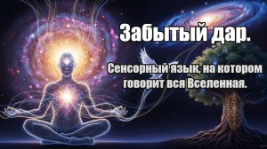 Забытый дар. Сенсорный язык, на котором говорит вся Вселенная.
