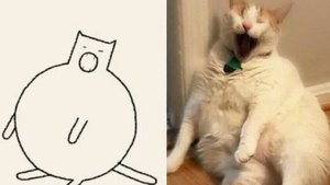 Смешные видео с кошками и собаками (Подборка №45)