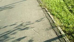 ЛЕТНИЙ АВГУСТОВСКИЙ УЛИЧНЫЙ МИНИ-БЛОГ №1479 ДО МАГНИТА...